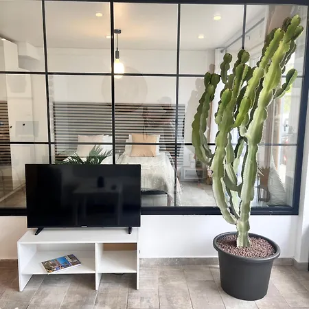 Апартаменты Cactus *