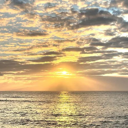 Cactus * Playa Feñabe