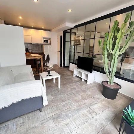 Apartment Cactus Playa Fanabe