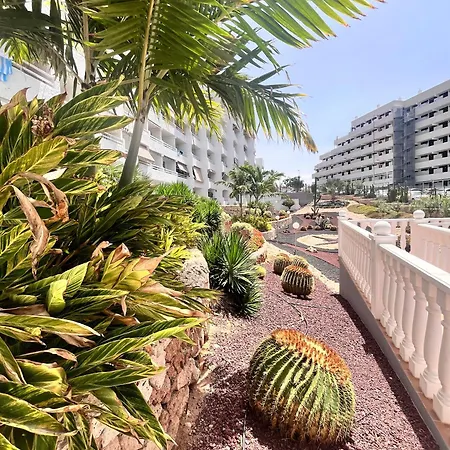 Apartment Cactus *