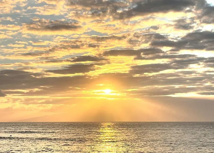 Cactus * Playa Feñabe