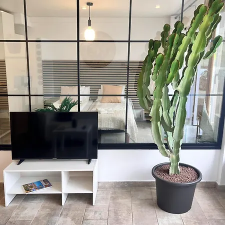Lejlighed Cactus *
