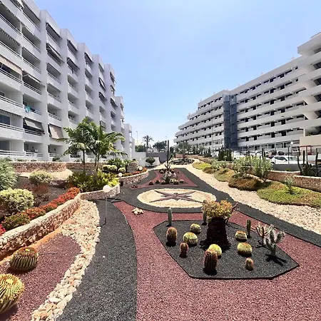 Cactus Playa Feñabe