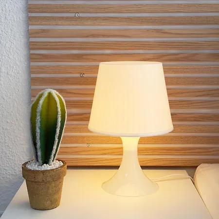Cactus شقة