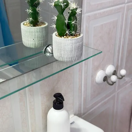 Cactus *
