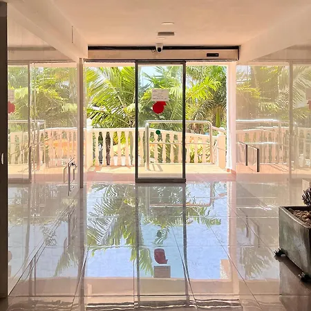 Cactus Playa Feñabe