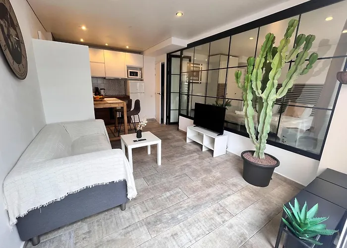 Apartment Cactus Playa Feñabe