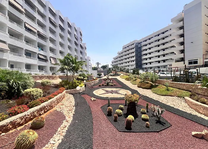 Cactus Playa Feñabe